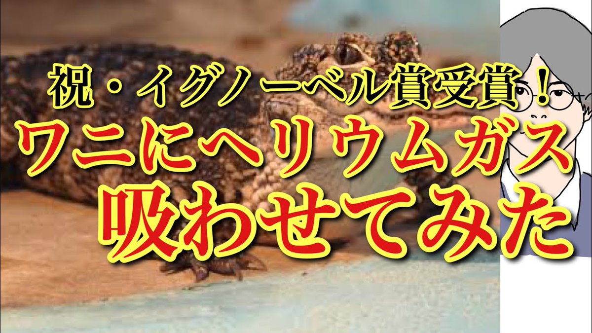 理科の学び直し おとな理科 On Twitter 今年も イグノーベル賞 を日本人が受賞 ワニもヘリウムガスを吸うと変な 高い声を出すという研究です 音響学賞を受賞されました 解説動画をつくりましたので 観てもらえると嬉しいです Https T Co 75oofbrlrf