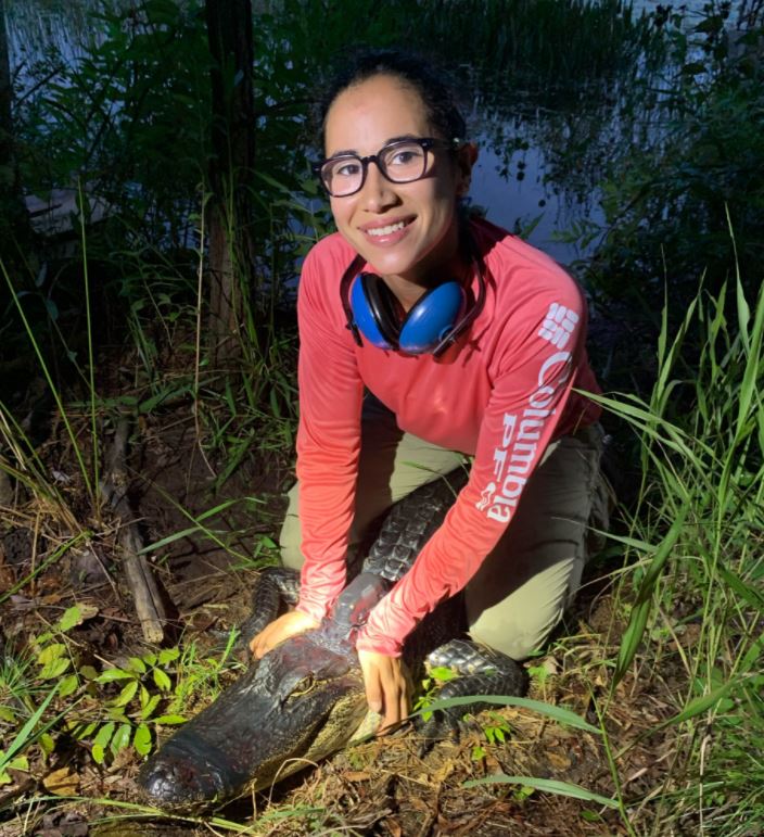 4. Meet  @LauraKojima, a Chicana wildlife biologist with a passion for herpetofauna! Laura is a first-year Master’s student with  @UGAEcology & her research is focused on alligator ecotoxicology and how their movement behavior influences their environment.  #HispanicHeritageMonth