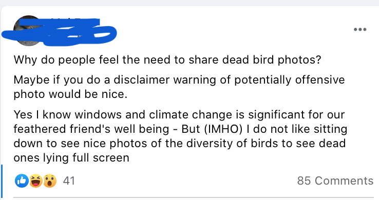 birdbike613's tweet image. I'd like a content warning for every post about a #windowcollision bird that the finder declares is fine because it eventually flew away. Extra content warnings when the OP describes the experience as "special" or "a privilege", ignores advice to ... 1/2