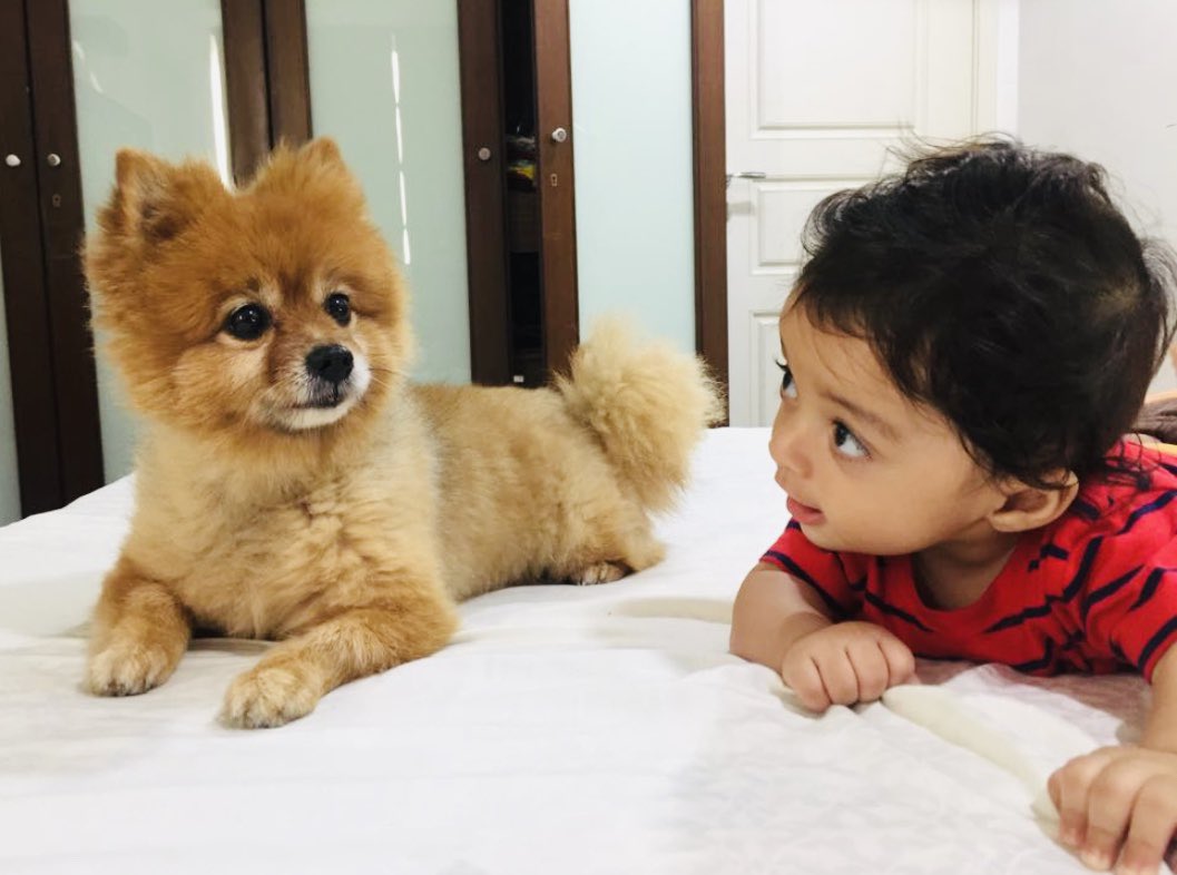 My babies ❤️ https://t.co/d9Z6pC3TQ3