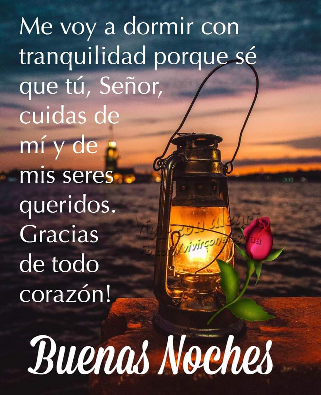 Guadalupe LM on Twitter: Guadalupe LM on Twitter: