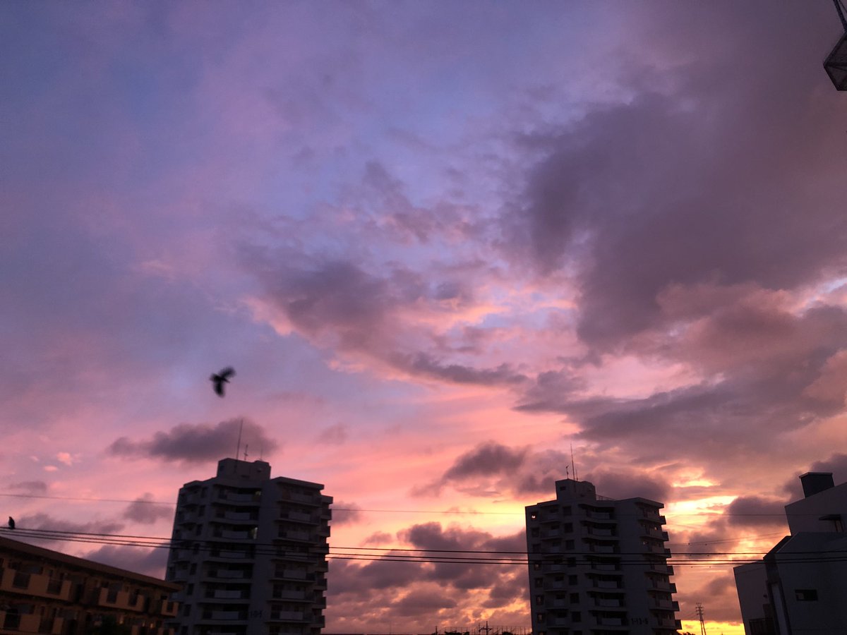pauseflower's tweet image. 今朝の朝焼け