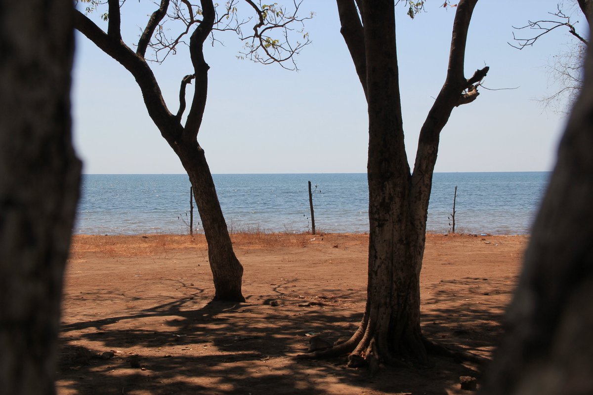 EastJavaTourism's tweet image. There’s never any doubt about escaping crowds at #TamporaBeach. This beach remains hidden from view by hill and forest (Wana Wisata). Like all the quiet beaches, it takes a little effort to get there #TravelToEastJava
