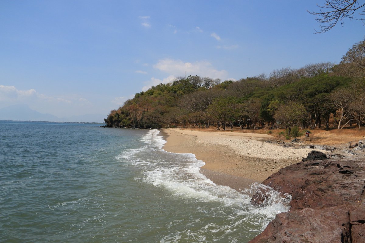 EastJavaTourism's tweet image. There’s never any doubt about escaping crowds at #TamporaBeach. This beach remains hidden from view by hill and forest (Wana Wisata). Like all the quiet beaches, it takes a little effort to get there #TravelToEastJava