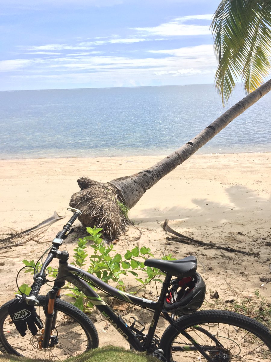 PapiGerger's tweet image. 