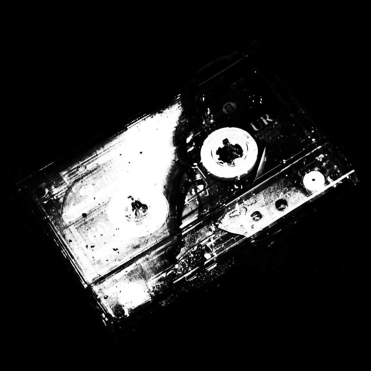 darkpoolproject's tweet photo. EPISODE 2 + 3 OUT NOW. 

LINK IN BIO OR GO TO:

https://t.co/2m9HYGn9A0 https://t.co/fRO5HPQYnr