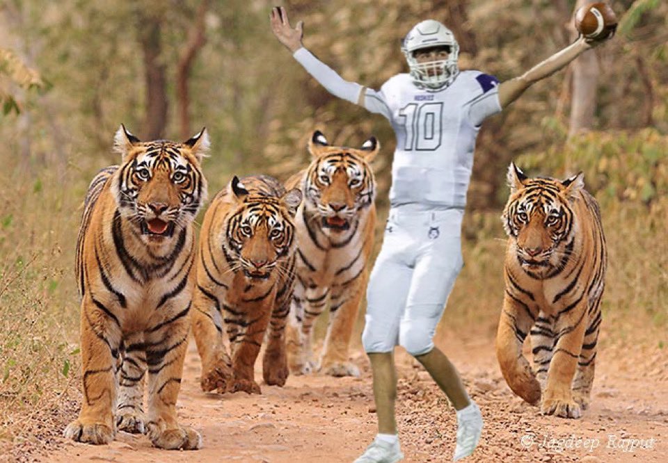 THE TIGER KING‼️‼️