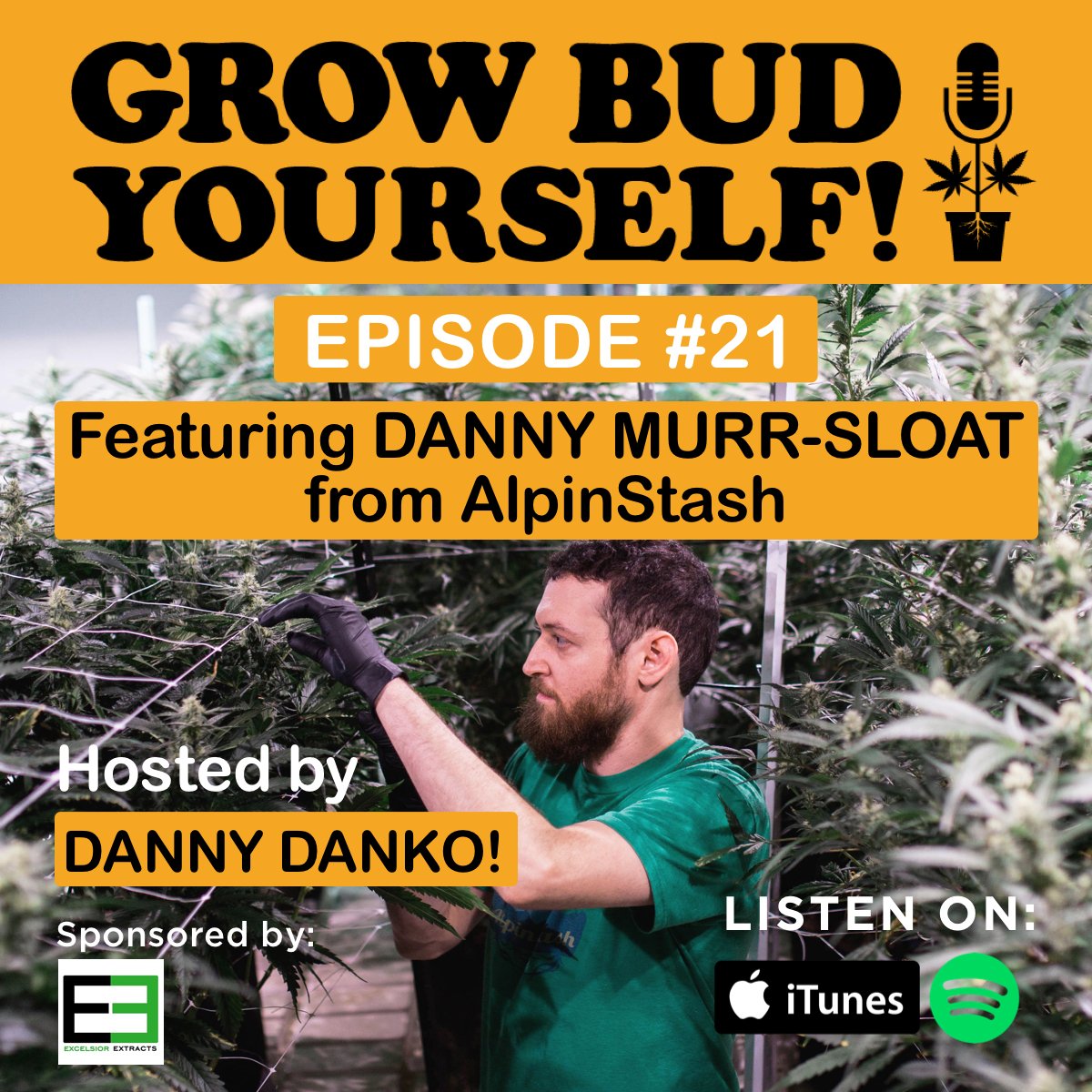 Episode 21 of @GrowBudYourself features an interview with Danny Murr-Sloat founder and breeder at @AlpinStash in Colorado competing with corporate cannabis plus Strain of the Fortnight, tips for pH & PPM & answers to grow questions from listeners like you: shows.acast.com/freeweed/episo…