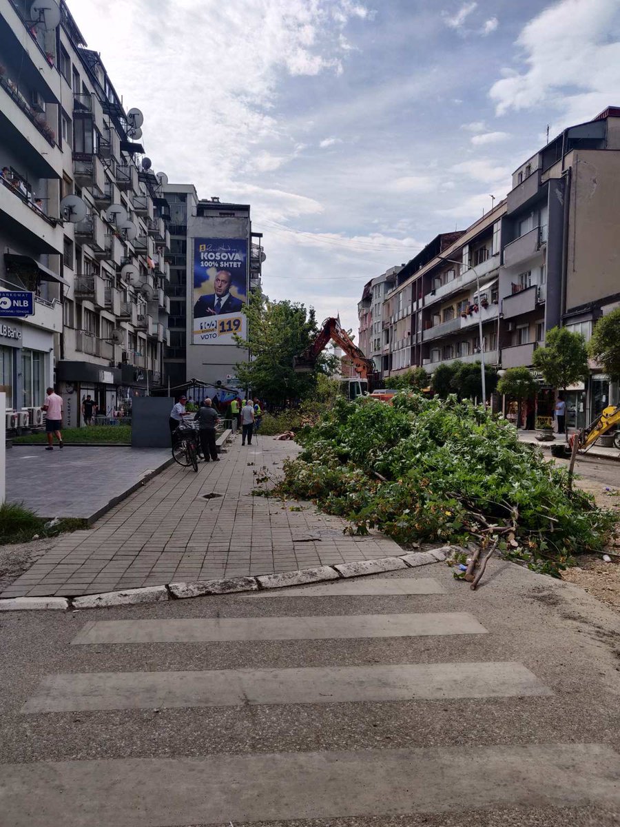 mimozakusari's tweet photo. Kështu u zgjua sot Gjakova. Drunjët 40 - 50 vjeçar u prenë në rrugën kryesore të qytetit “Nëna Terezë”,  për t’u zgjeru rruga për më shumë makina, për t’u ngushtu trotuaret dhe për t’u vështirësu ecja e këmbësorëve. https://t.co/40Ax2nA6J7