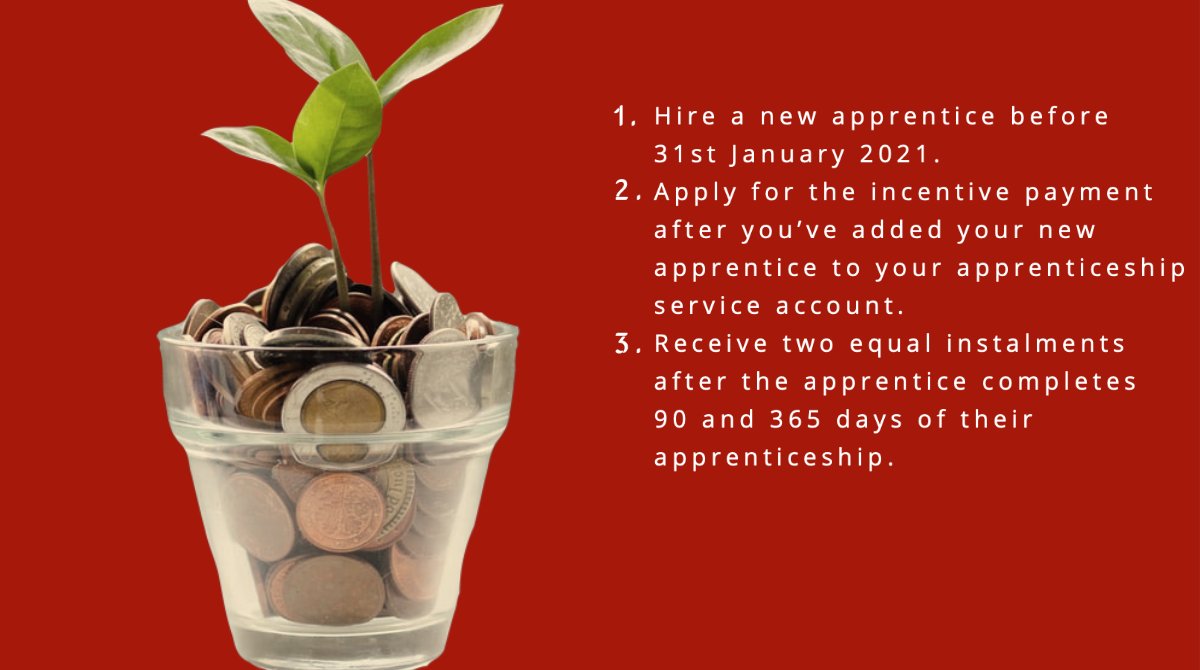 Don't miss out - remember that  employers can apply from the beginning of September for incentives for hiring a new #apprentice. 

It's as simple as the 3 steps below, so what's stopping you from growing your organisation?
