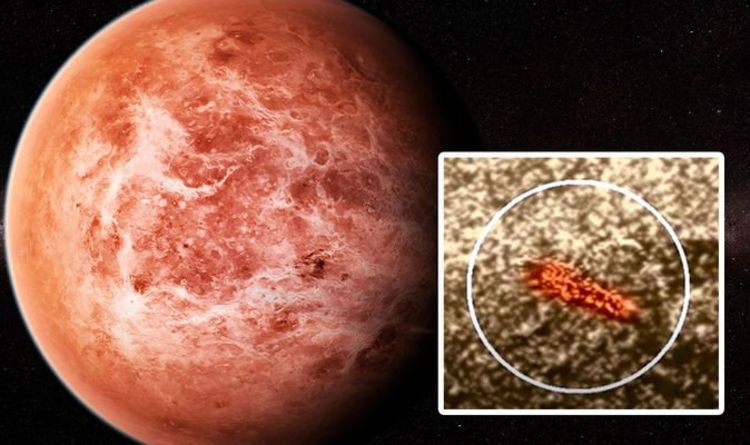 Life on Venus: Russian scientist spotted ‘something moving on surface' with secret probe https://t.co/kz5kH4U9m4 https://t.co/gVrt80JuGW