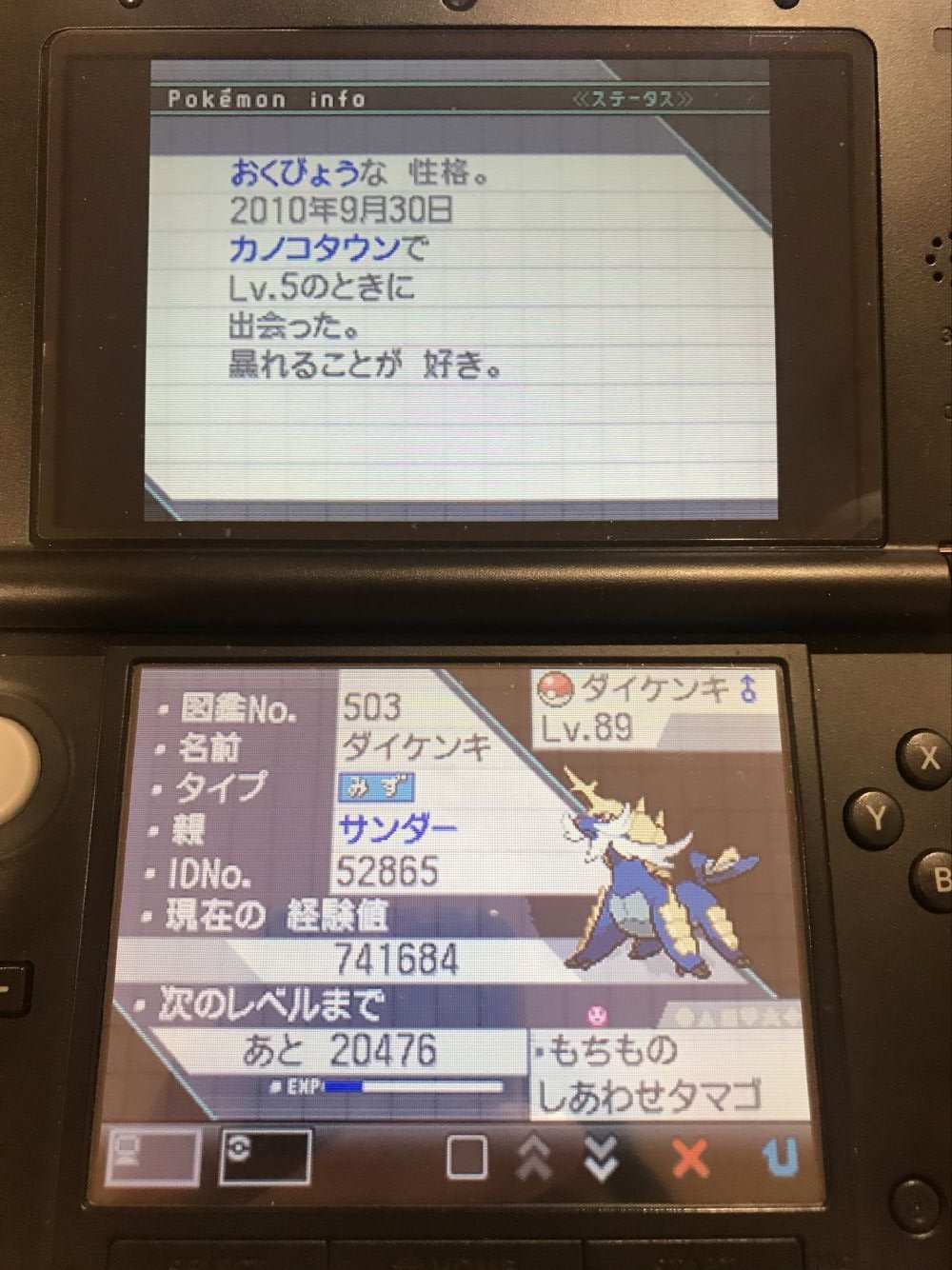 ハクリン 今日はポケモンbw十周年なのか 懐かしい 色々すごすぎてポケモン 史上最高の作品だとずっと思ってるし ゼクロムもここから不動の一番大好きなポケモンになって Yまで送ったんだ 10番道路のbgmが一番エモくていつも泣ける 手持ちのダイケンキも今