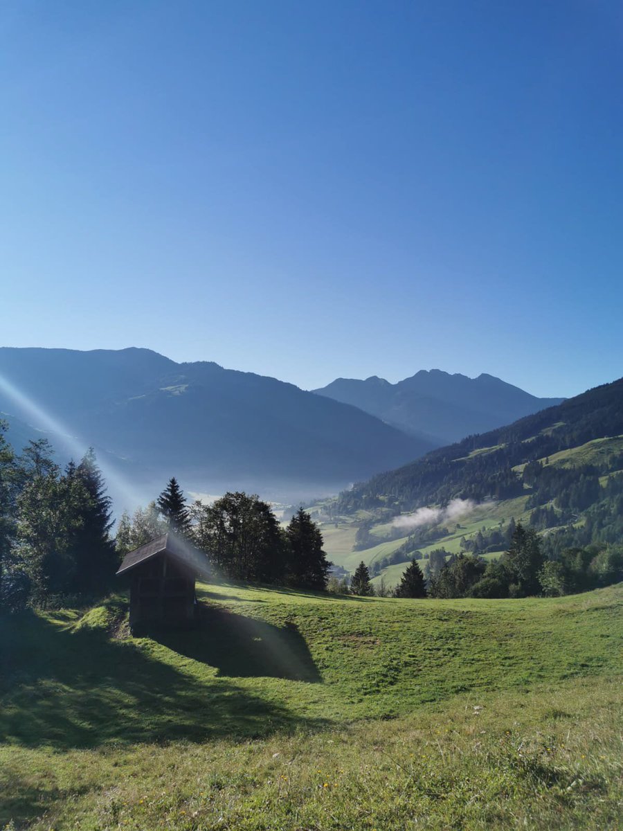 Nana_What_Else's tweet photo. Wohoooo! 😎 

Ein Foto von mir hat es auf die Shortlist eines Wanderherbst-Fotowettbewerbs geschafft. ❤️ Ich würde mich wie ein Honigkuchenpferdchen über eure Stimme freuen. 😘🌻#meansalot

https://t.co/aaXQ3IEJxB https://t.co/YueC6BqS9h
