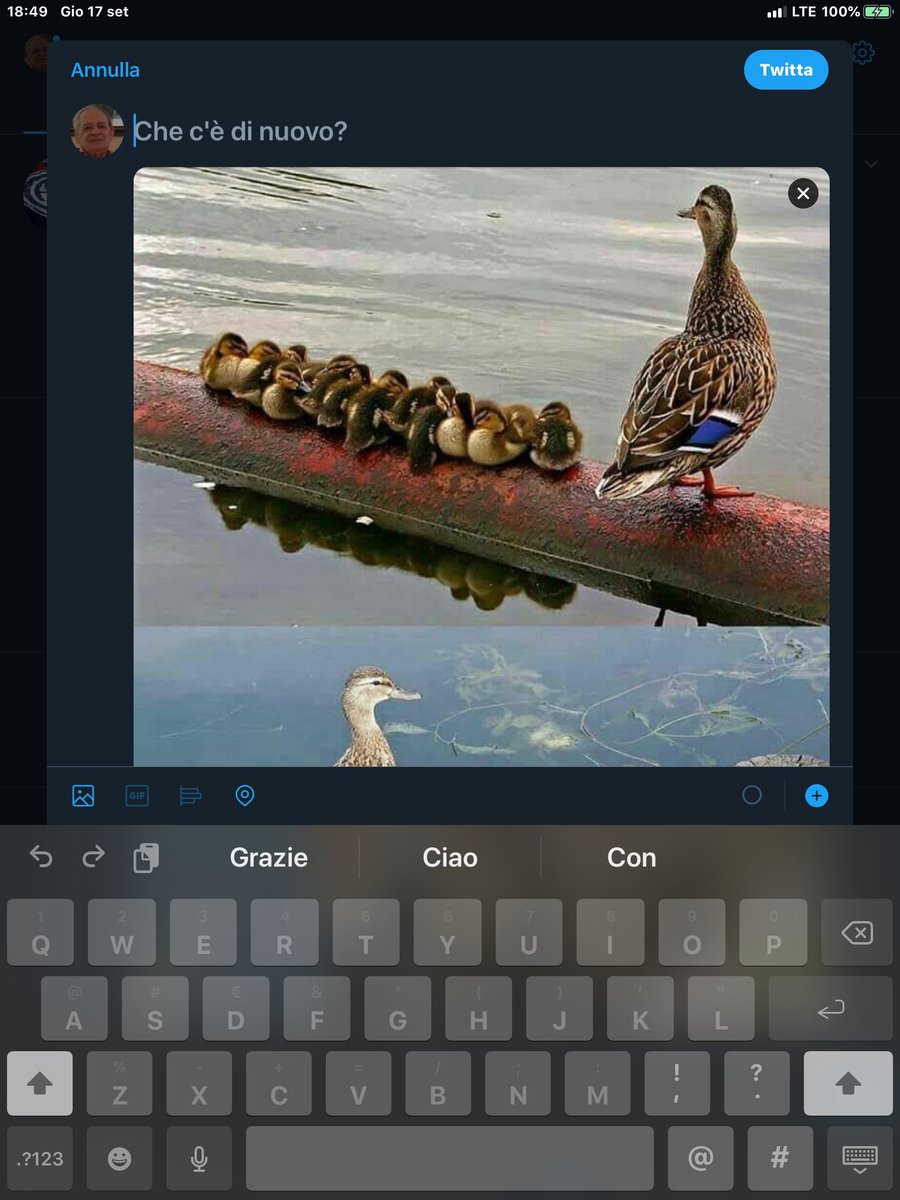 V i  desidero saluti augurandoti   Di prima percsana voi  tuti...................😊👨🏻‍🦼🦋🇮🇹🍒☕️ xjazah