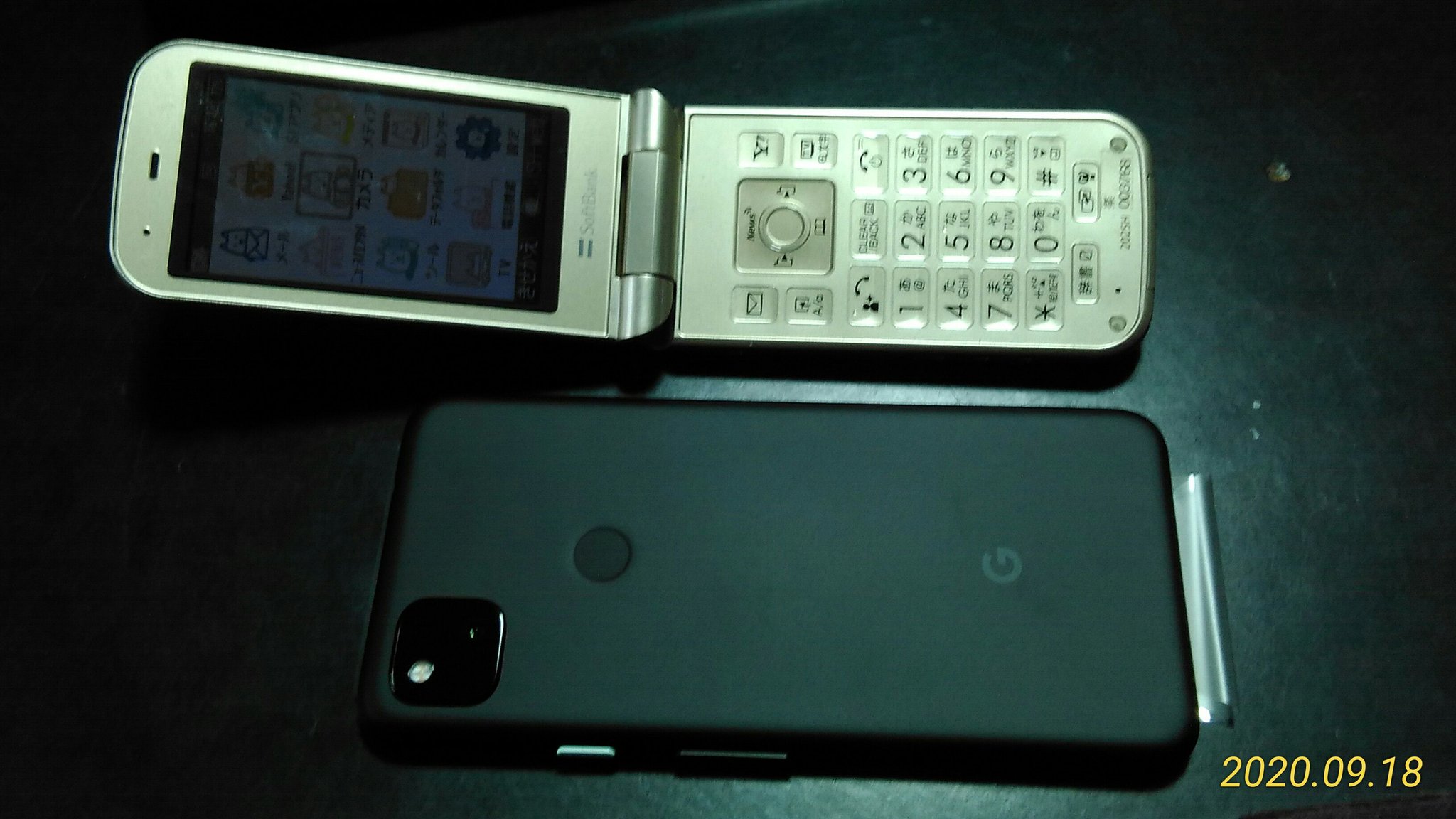 スマホデビュー Pixel4aのカメラ その1 ぴんぼけ日記