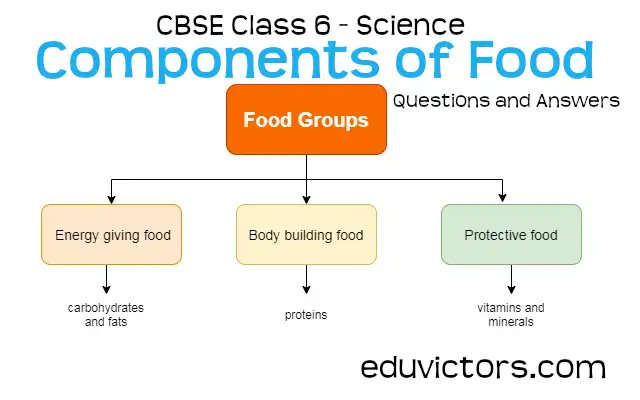 eduvictors2011's tweet image. CBSE Class 6 - Science - Chapter 2: Components of Food (Questions and Answers)(#class6Science)(#componentsOfFood)(#eduvictors)
cbse.eduvictors.com/2020/09/cbse-c…