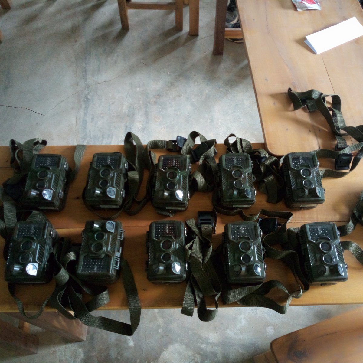 alfred_oga's tweet photo. Wildlife monitoring with camera traps in Gnanhouizounme forest, Benin.
Deployment of camera-traps in 2 forest island ( Zindji and Kassiagbonou )
#ODDB_ONG
#Camera_Traps
#Wildlife https://t.co/IXOO23SQNx