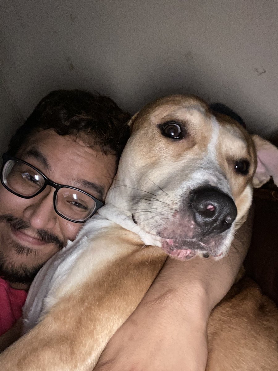 My dog hates and loves me 🐶