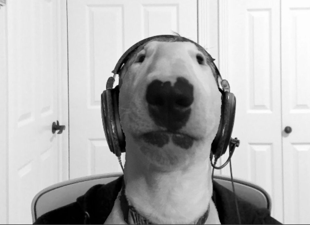 enauoder_'s tweet image. Moi en train d&apos;analyser toutes les paroles de Damso dans QALF :