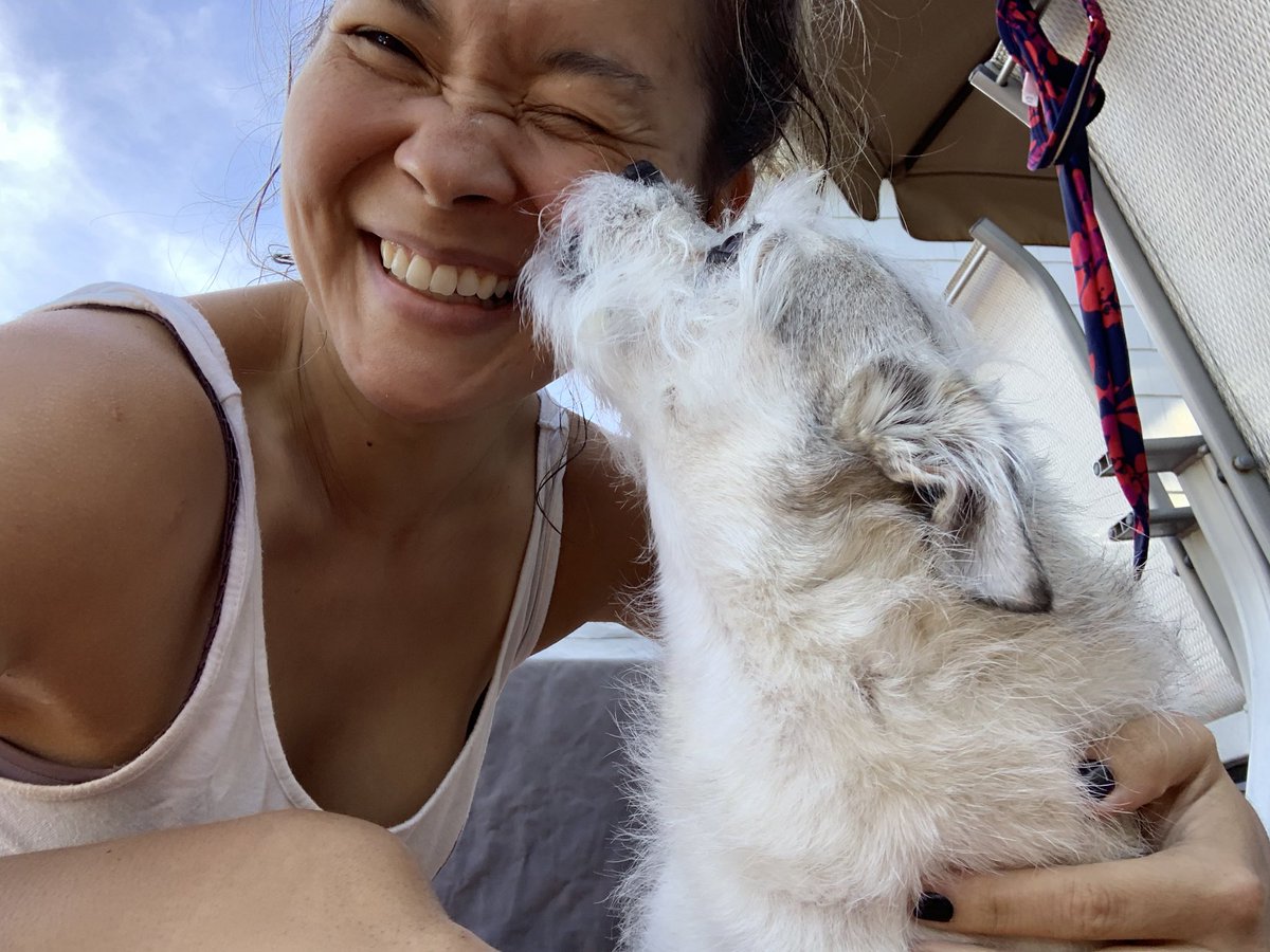 LisaHelmi's tweet image. So “toxic positivity” is a thing. But can we communicate our (valid!) feelings and then be open to the possibility of optimism still to be found...?
#askingforafriend #bothand #positivity #authenticlistening #authenticawareness #doggiekisses #nonsequitor