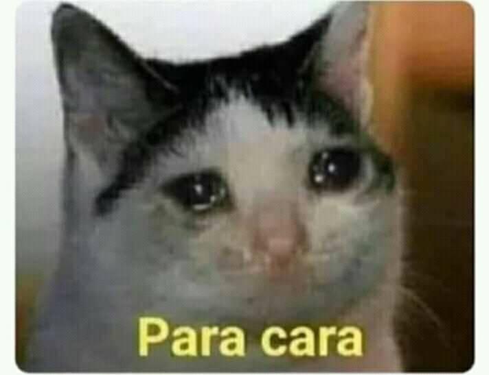 KMTroxa's tweet photo. @doramasasbr Foi muito pau no cu mermão, elimino itaewon class kkkk https://t.co/M9U0WdJ3Uy