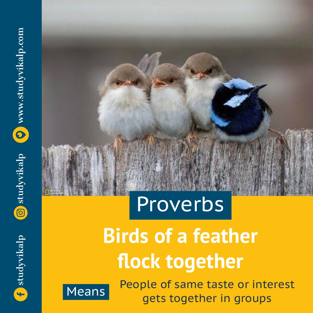 flocks of birds symbolism flocks of birds symbolism