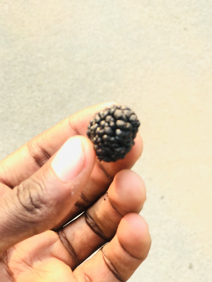 hatiperi_wacho's tweet photo. Kwedu KuMarondera aiita aya dakutomamwisa tea 😋😋😋❤️ https://t.co/dfTkmrQ0i4