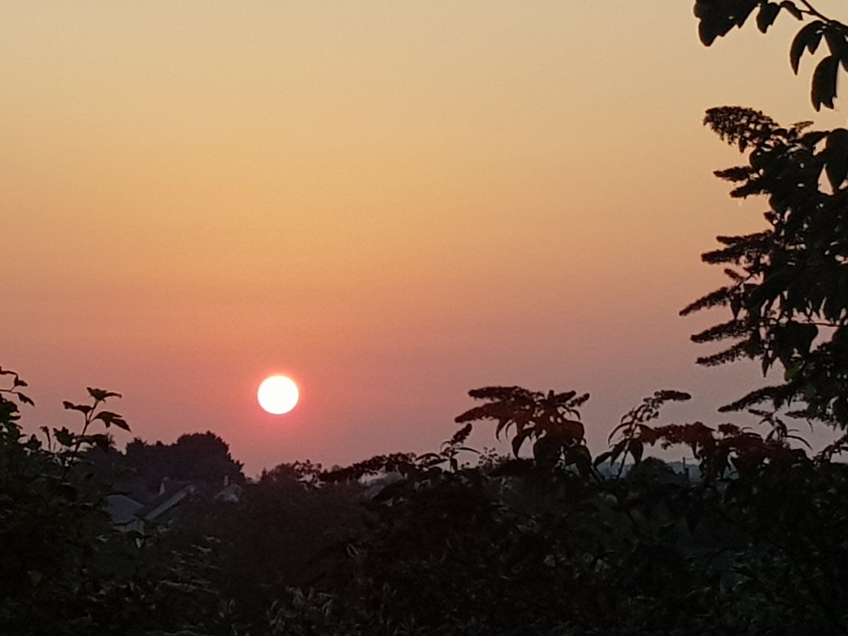 ~° bonjour a tous °~
le soleil vient de se lever 
encore une belle journée 🎶
pas de pain ni de croissants ☹
mais profitez !!! 🌸