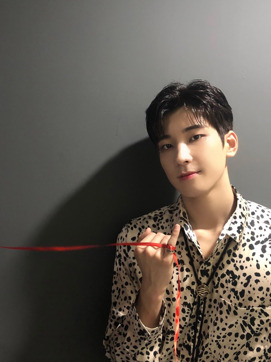 SEVENTEEN Japan tweet media