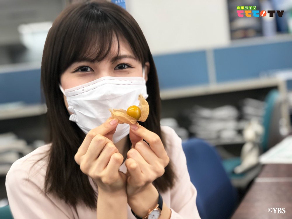 Ybs山梨放送 公式 昨日の中継のお土産 食べられる ほおずき ナチュラルハートさん ありがとうございました 今日はてててはお休みの田中アナです まもなくgold 田中千尋 てててtv ナチュラルハート ほおずき 山梨県 てててtv Ybs山梨放送 公式 昨日の中継のお土産 食べられる ほおずき ナチュラルハートさん ありがとうございました 今日はてててはお休みの田中アナです まもなくgold 田中千尋 てててtv ナチュラルハート ほおずき 山梨県 てててtv