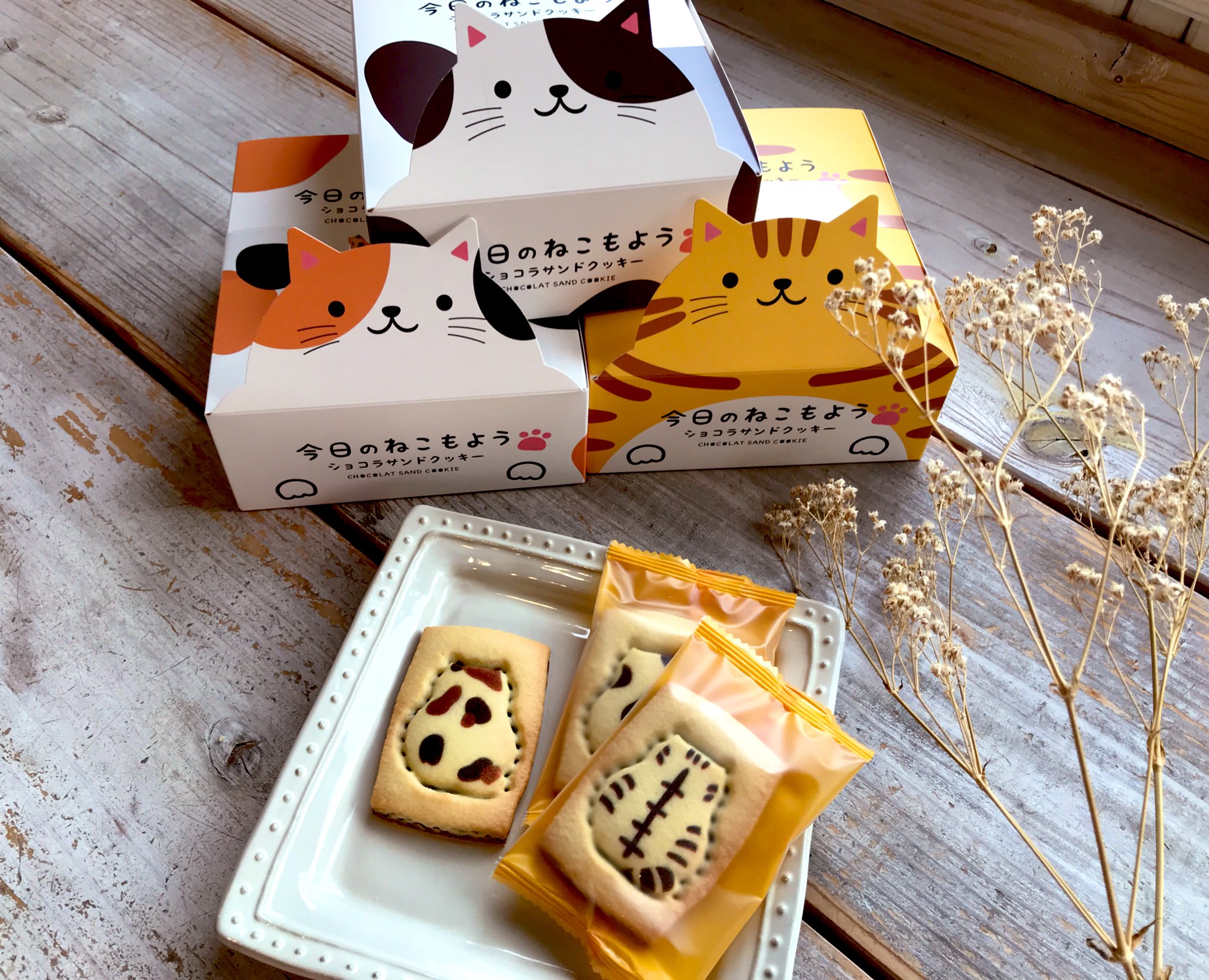 カフェオリオン 可愛いがすぎるネコさんクッキー 新発売です 優しいバターの香るクッキーにチョコレートがサンドされたネコさんの型抜きクッキー 今週末より販売開始いたします 店内でご飲食の方にはご試食をプレゼント 個包装なのでイベントのお