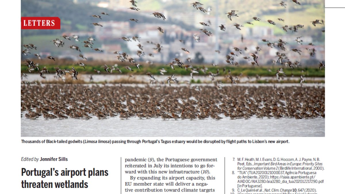 The European GREY Deal: building an airport in the heart of Portugal’s largest wetland https://science.sciencemag.org/cgi/doi/10.1126/science.abe4325 #conservation  #biodiversity  #ornithology  #Lisbon  #airport  @WaderStudy  @RamsarConv  @antoniocostapm [1/12]