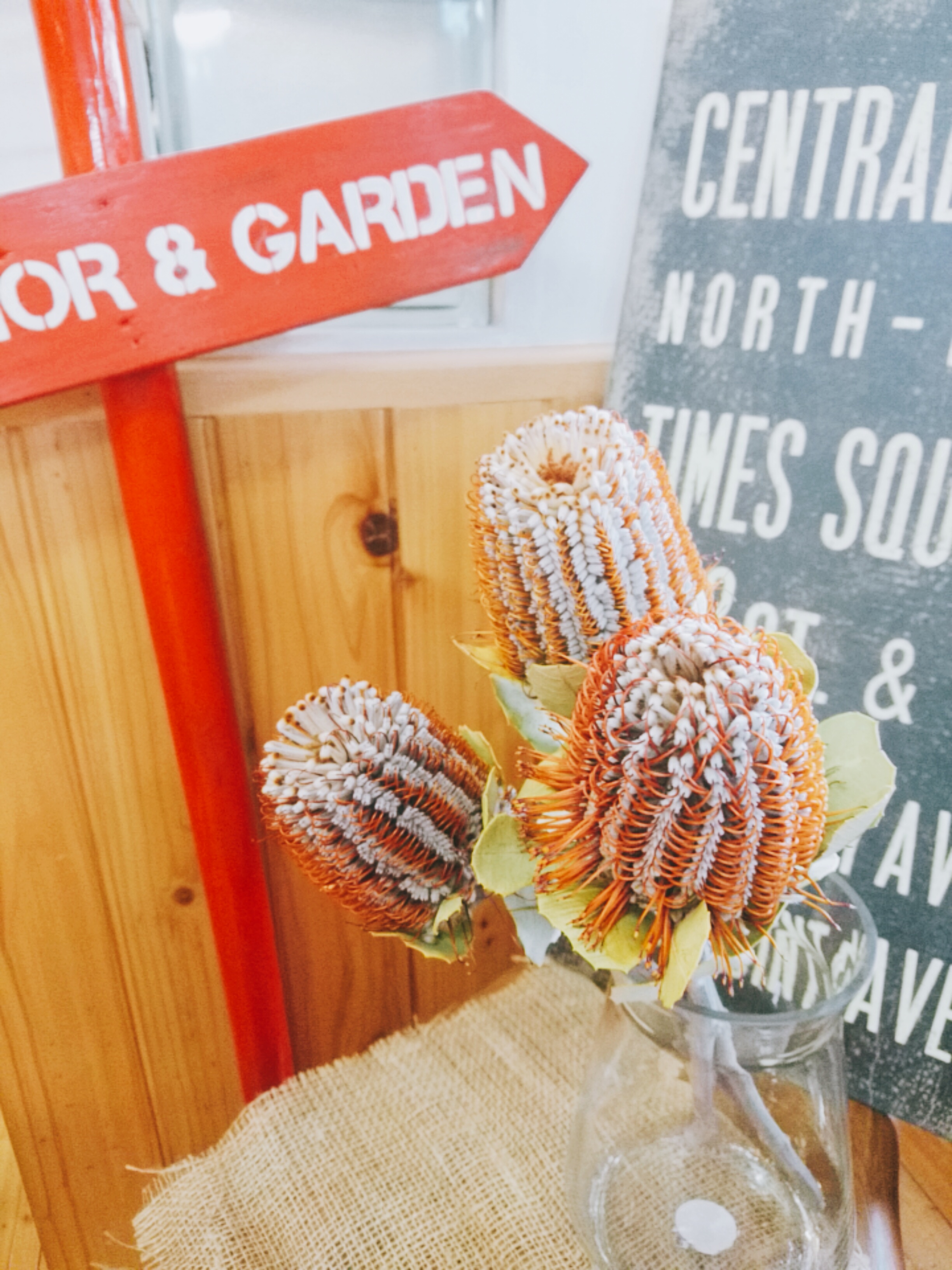 Four Seasons ネイティブフラワー を入荷しました 魅惑的な花色 形にドキュンドキュンしております ドライフラワーにもなります 数に限りがございます 気になる方はお早めに ぜひ 実物を見ていただきたい ネイティブフラワー ドライ