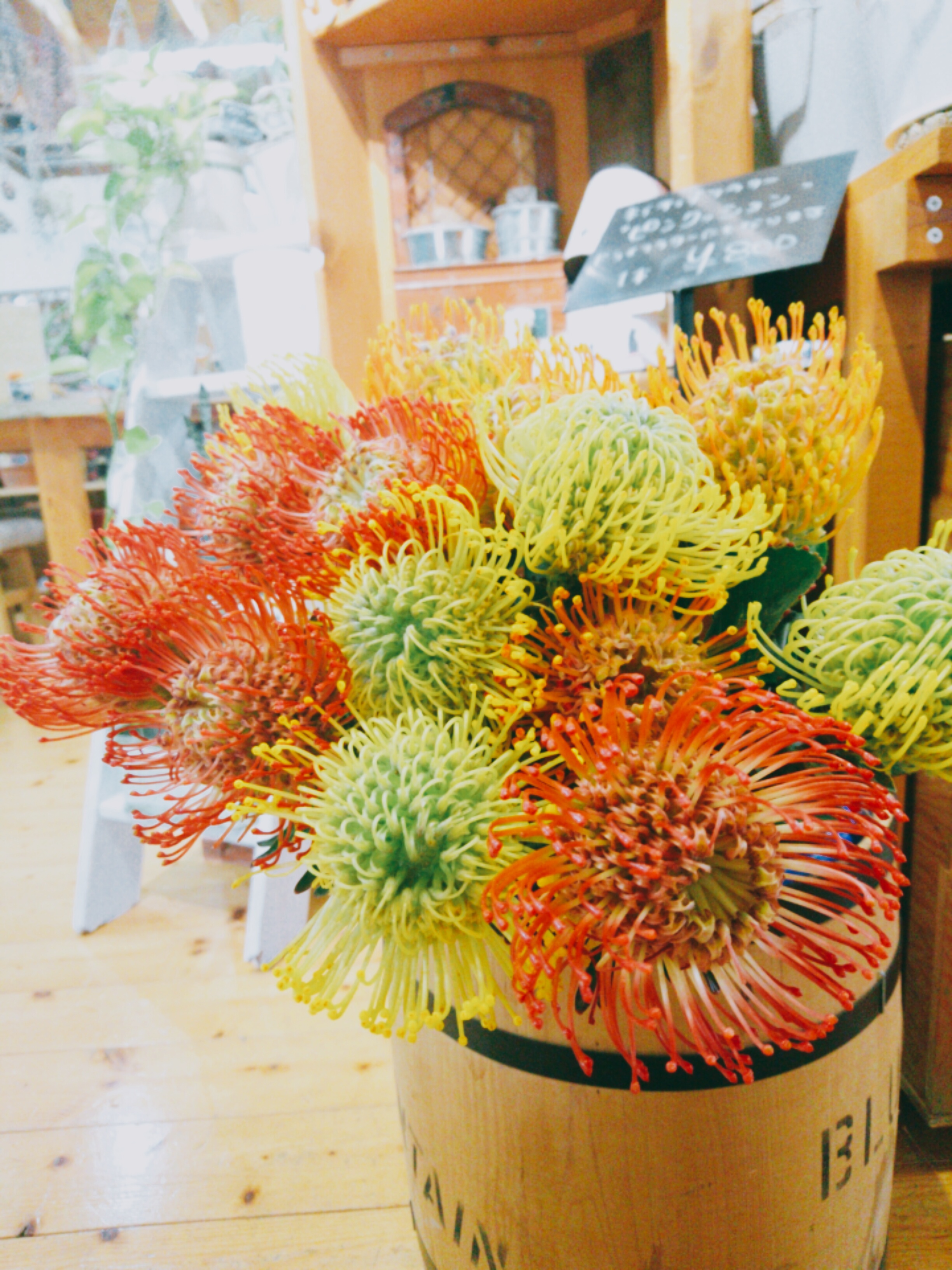 Four Seasons Sp004fs Twitter