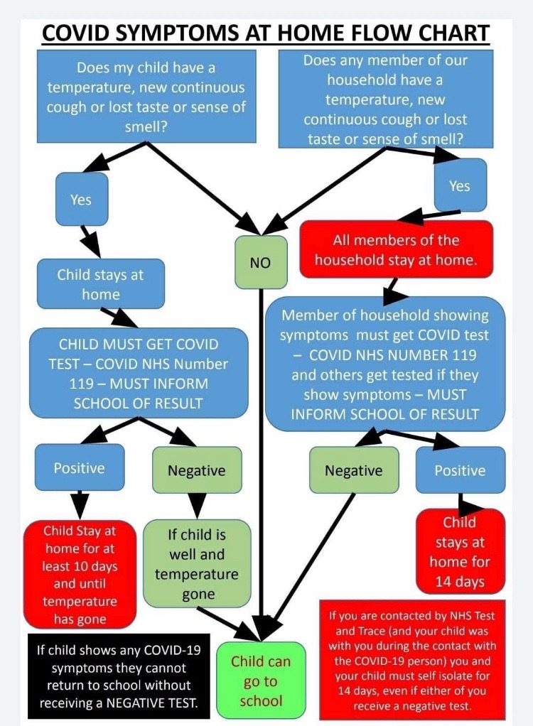 stbernies's tweet photo. A handy flow chart for what to do if your child or a member of your family has Covid symptoms. https://t.co/wma8XbGuli