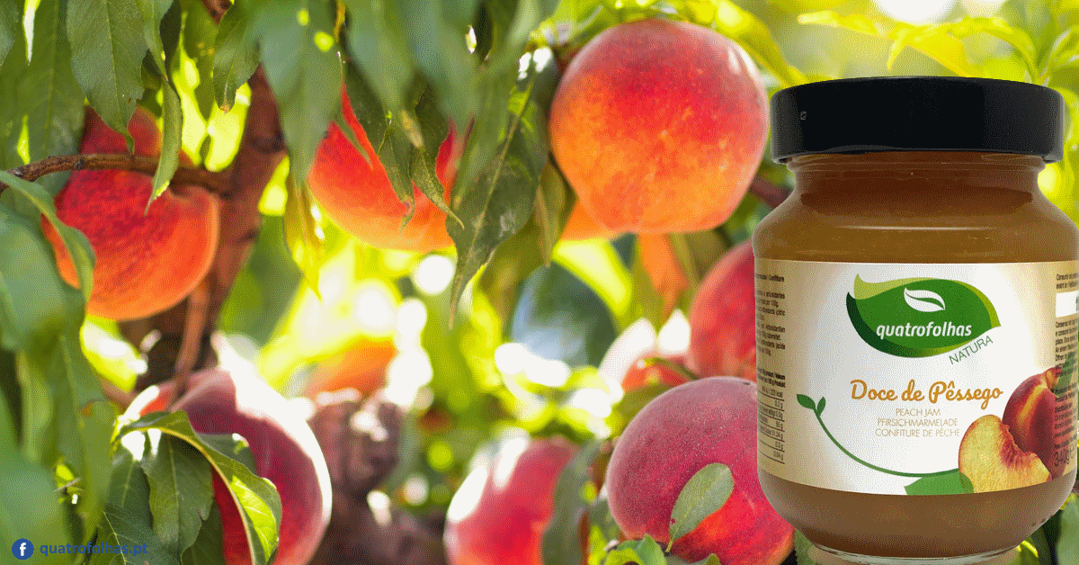 casa_angola's tweet photo. 🍑 de 🇵🇹! 🥰
Em plena época do🍑a quinta das quatro folhas já está a preparar o seu doce para que possamos desfrutar do seu inconfundível sabor e aroma durante o ano inteiro!
#Pessego #Portugal #doce https://t.co/sWQ9NvL4gT