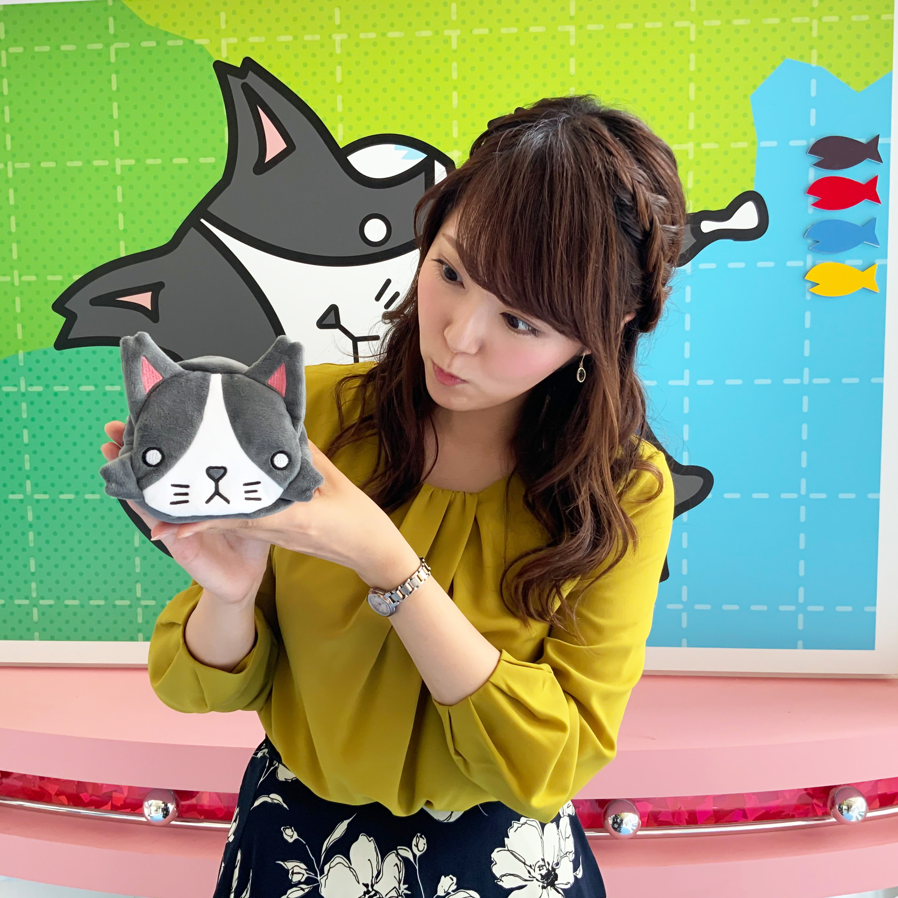 【全商品オープニング価格 特別価格】 猫のひたいほどワイド on X:  アイドル