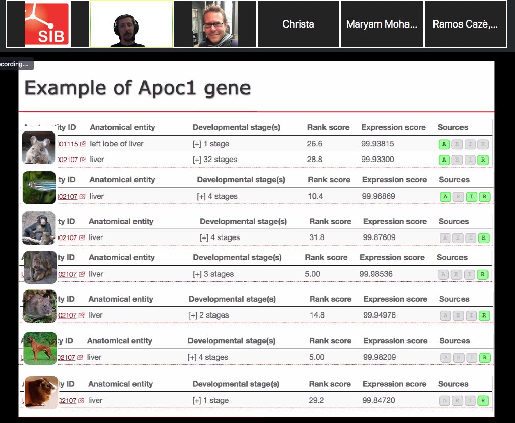 Closing this @ISBSIB course on Comparative #Genomics with the lectures from @marc_rr on #gene #ontology; patterns of gene and genome duplication; evolution after duplication, and @Bgeedb https://t.co/XGDpaCmxNd https://t.co/ntF6MB9v2N