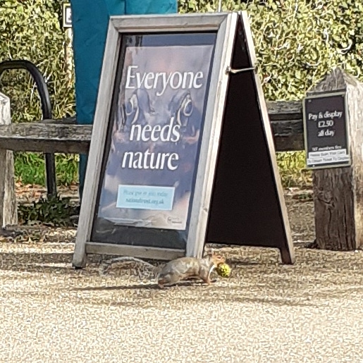 old_bakehouse's tweet photo. Well. He certainly does 😃 good morning from Mr and Mrs H having coffee at #houghtonmill when this chap came past #picture #picoftheday #photosofbritain #photooftheday #photo #FridayFeeling #FridayVibes #wfh #workingfromhome #workfromhome #unitedkingdom #uk #FridayThoughts https://t.co/8vv8nMZc0x