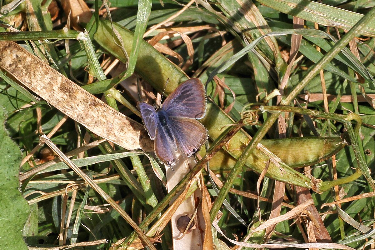 Bill gregory tweet media