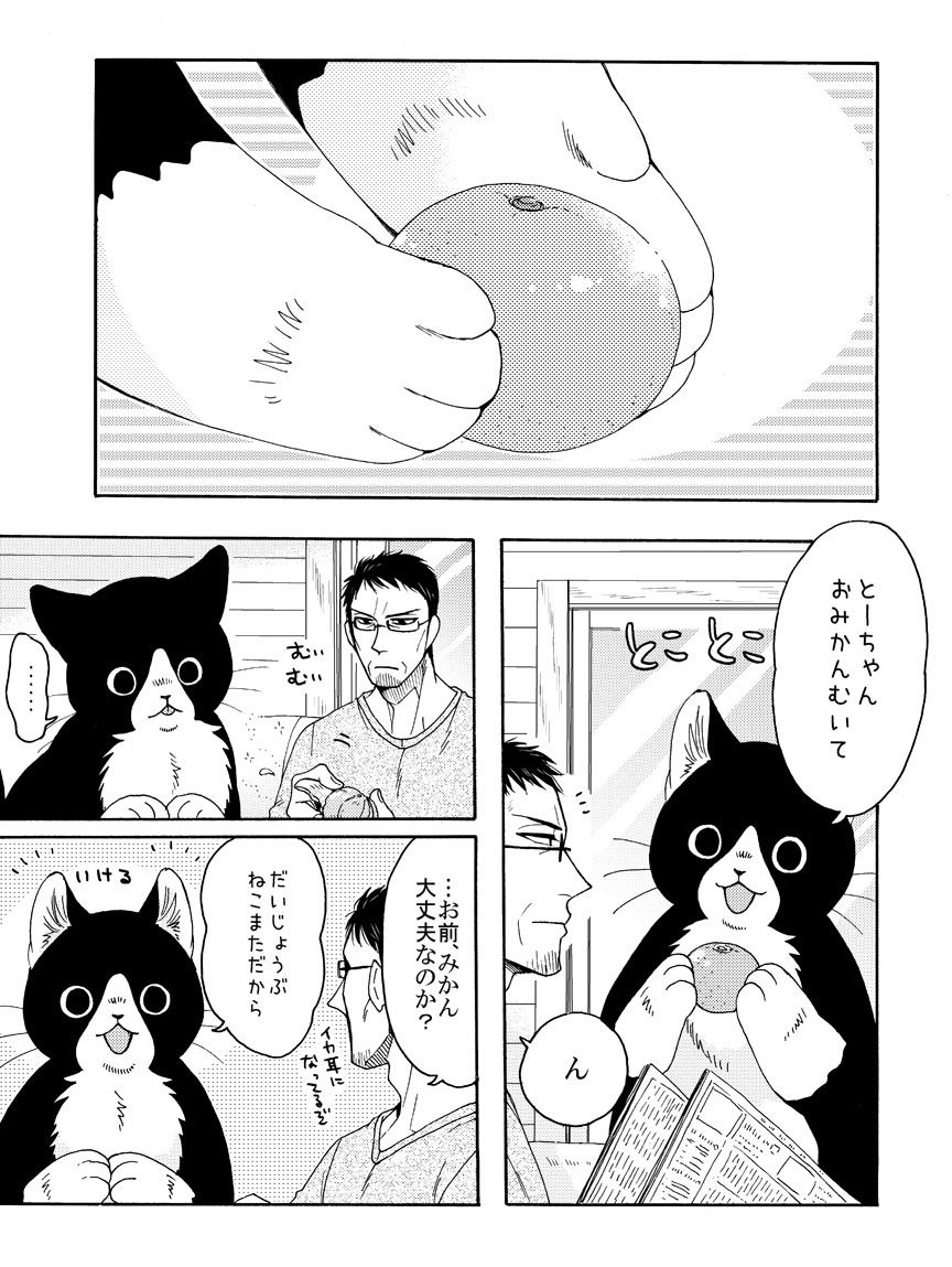 ねこまたとおみかん 