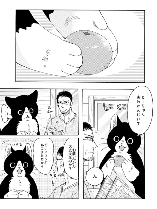 ねこまたとおみかん 