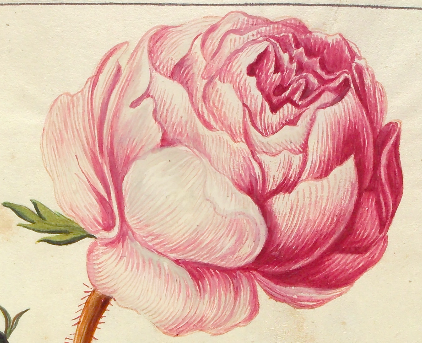 LimediaGalerie's tweet image. Ah, quelle beauté éphémère nous trouble ainsi ! La fragilité d'un moment de contemplation nous rappelle combien la vie est belle !🌹🌹🌹🌹🌹
buff.ly/3bPOodD
#LimediaGaleries