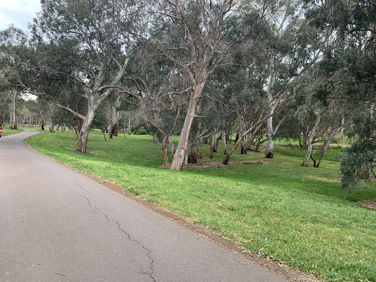 Daily Move. A proven way to reduce anxiety and depression is by getting 30mins of outdoor exercise daily. Doesn’t matter if you run, walk or crawl, what matters is that you do it. Have you moved today? #moveot #DailyMove #recover #develop #MAINTAIN #motivate