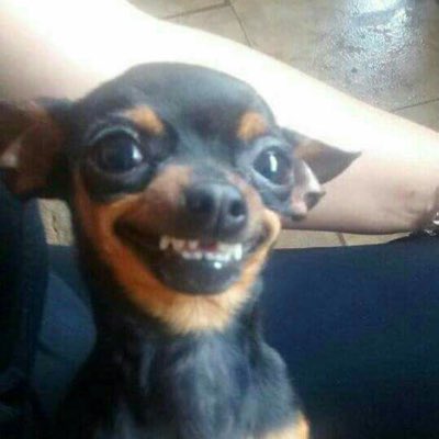 babylonhoe's tweet photo. #NewProfilePic https://t.co/gOL9dpP7wP