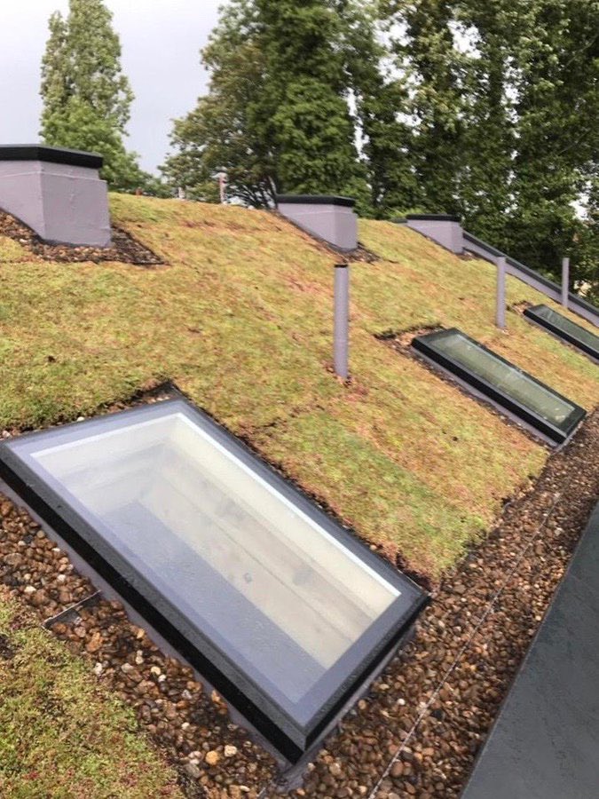 🌱 #GreenRoof #FactFriday 🌱
DID YOU KNOW a green roof increases the chances of having planning accepted due to the many benefits. Also having a green roof and working alongside the ecologist can contribute to <a href="/BRE_BREEAM/">BREEAM Official</a>.
#roofing #waterproofing #specification #specifier