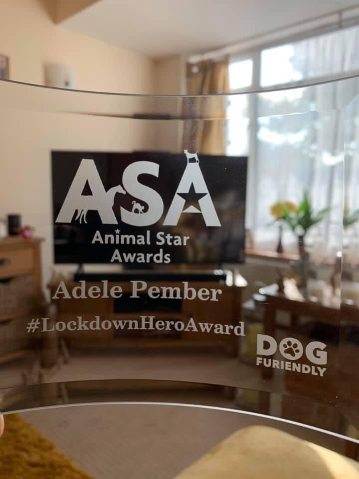 animalstaruk's tweet image. This is being sent out today to @AdelePember founder of @DogFuriendly Adele was awarded the title Animal Star Lockdown Hero last Friday for organising Bark Aid during Lockdown! Congratulations Adele! #lockdownhero #ASA