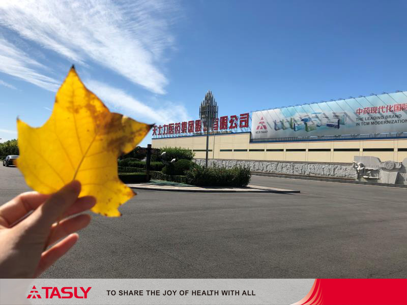 taslyint's tweet photo. Autumn Greeting from Tasly Modern TCM Garden: Autumn, with a golden yellow, with a light footsteps, quietly came to the world.  We are enjoying the sunshine, blue sky and resplendent color of autumn in #Tasly Modern #TCM Garden, Tianjin, China. https://t.co/u27AIttknF