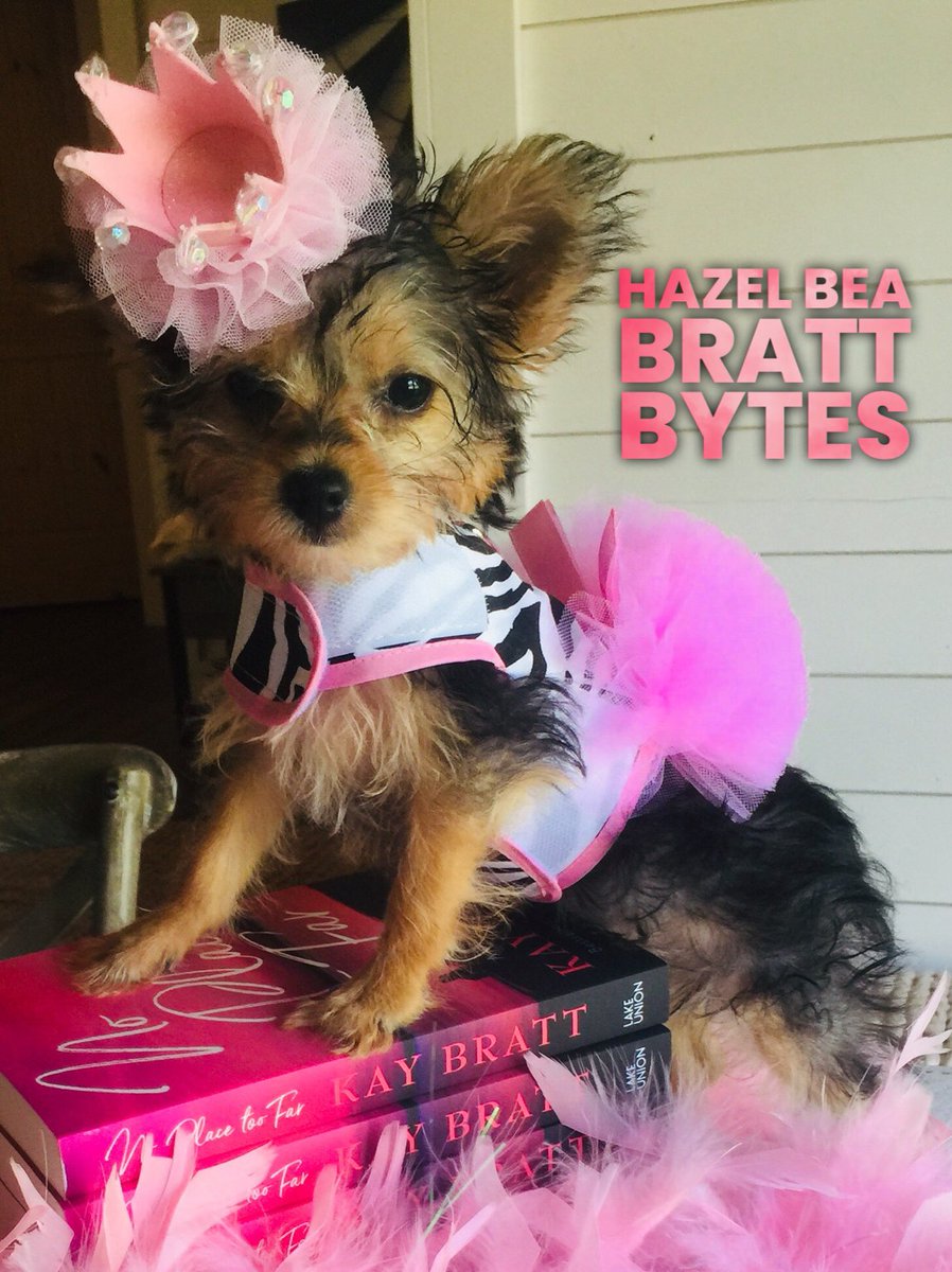 kaybratt's tweet photo. Do what makes YOU happy! https://t.co/H5VbFpKkMO  #Chorkie #Puppylove #BrattPack  #BeatrixPotter https://t.co/ZGv7E6ipmd