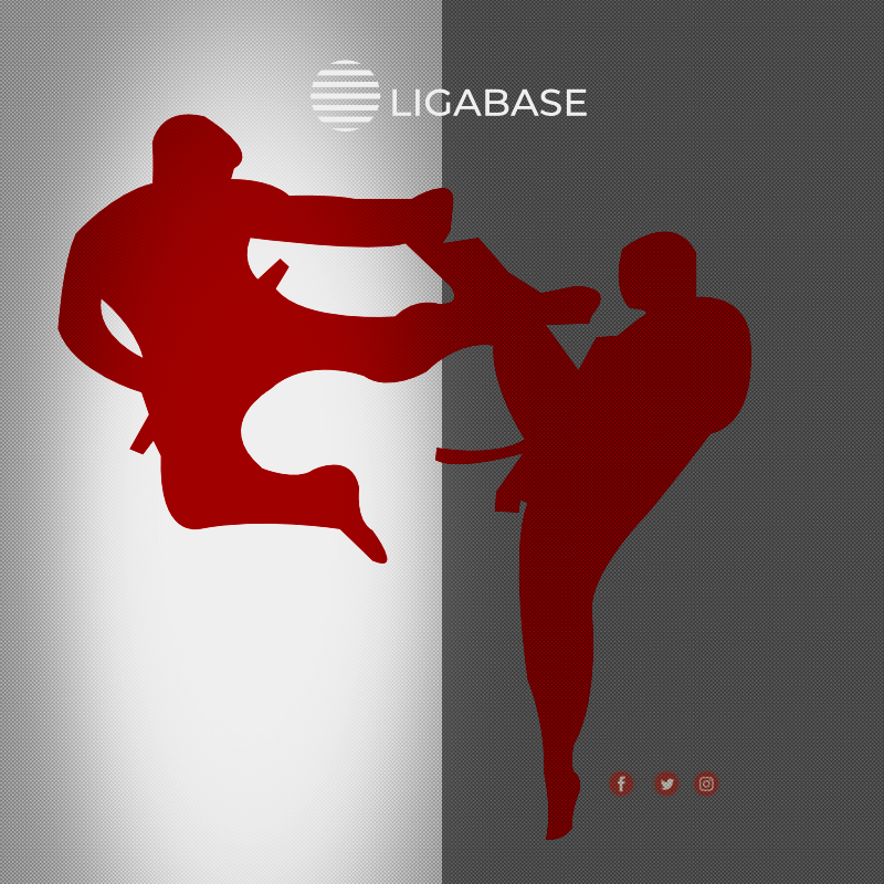 ligabase's tweet image. Desde #LIGABASE, te ayudamos con la gestión, presentación y búsqueda de subvenciones y/o patrocinadores para tu club.